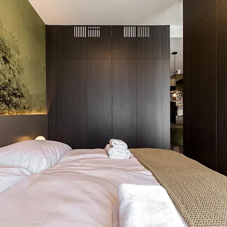 Olive-riverside-city Center-castle-aircondition-self Check-in Apartment Pressburg